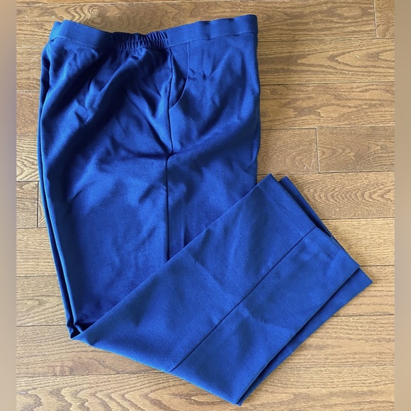 Allison Daley blue dress pants. Size 16Petite - Picture 1 of 4